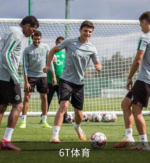 了解6T体育